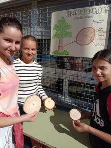 Feria de la Ciencia 2025 en el IES Villa de Alguazas